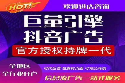 网络推广竞价策略案例分析